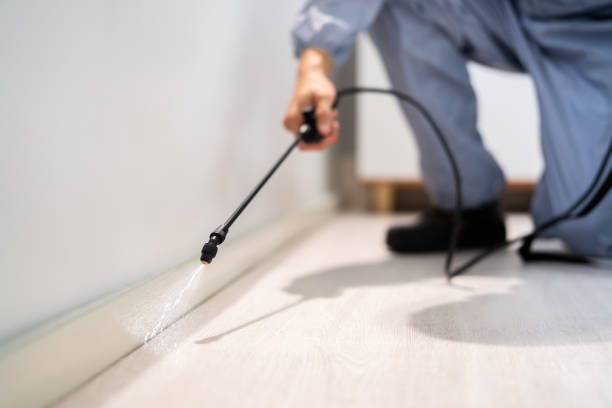 Licensed Termite Control service in Fort Lee, NJ - Nex Pest Control