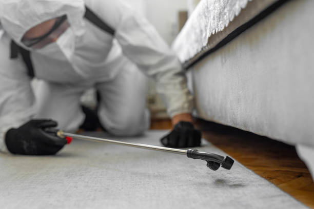 Professional Termite Control technician working in Fort Lee, NJ
