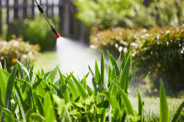 24/7 Emergency Termite Control experts in Fort Lee, NJ