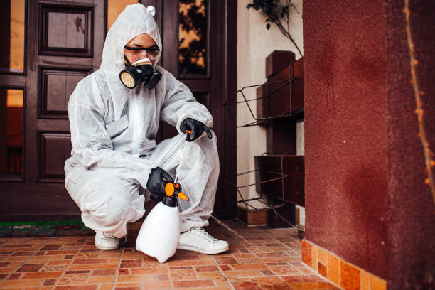 Reliable Termite Control contractor in Fort Lee, NJ by Nex Pest Control