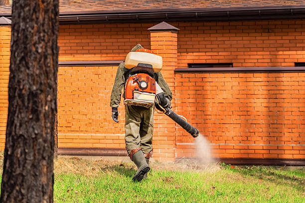 Trusted Fumigation Services service in Fort Lee, NJ - Nex Pest Control